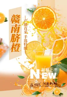 赣南脐橙海报图片