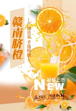 赣南脐橙海报图片