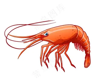 手绘虾图片