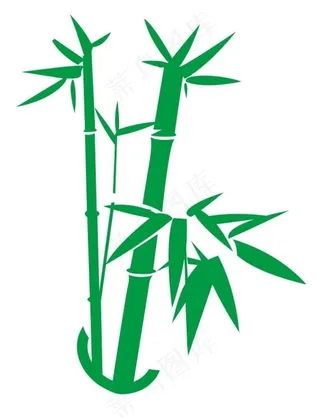 矢量竹子图片
