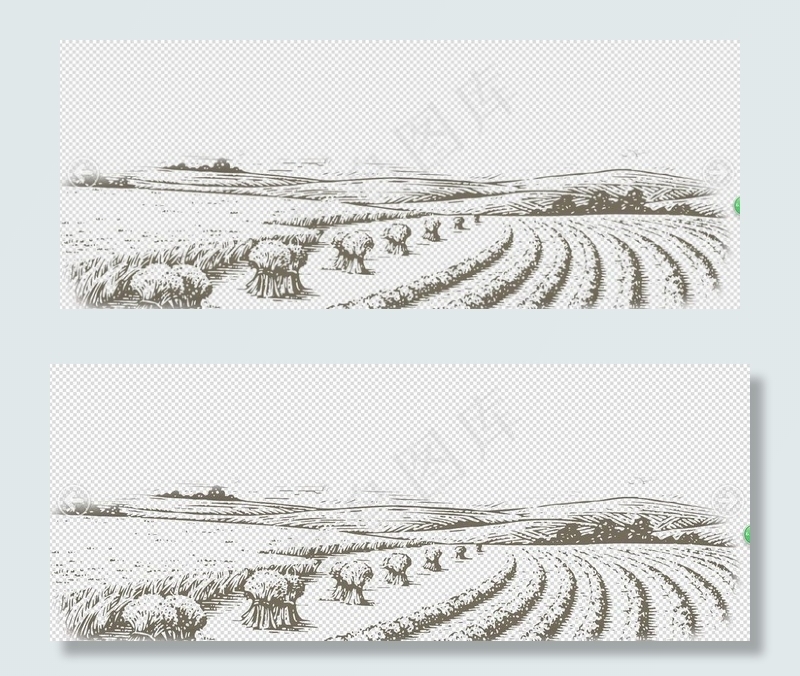 稻田梯田手绘画图片