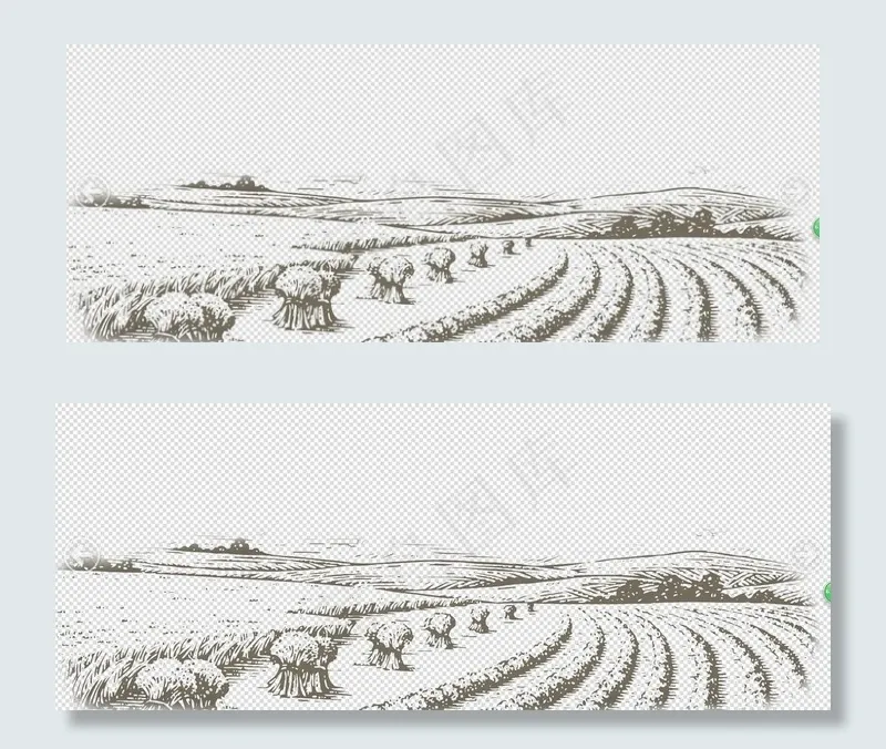 稻田梯田手绘画图片psd模版下载