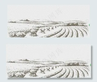 稻田梯田手绘画图片