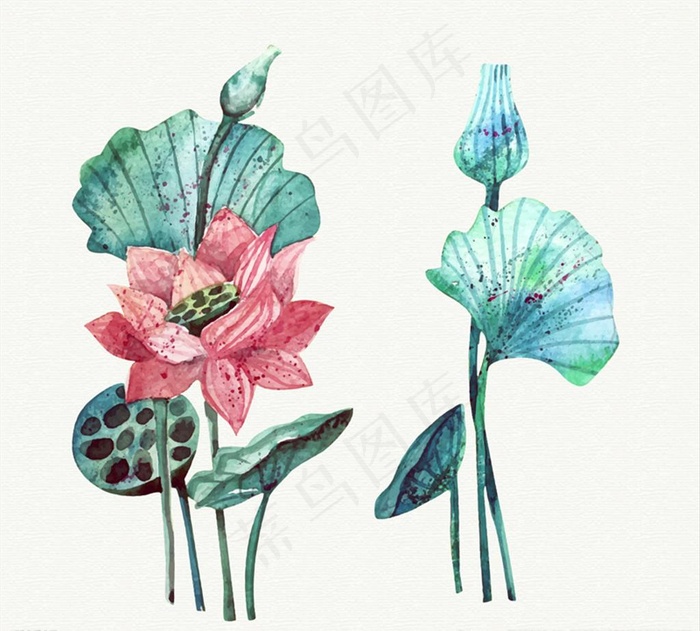 手绘彩绘荷花图片