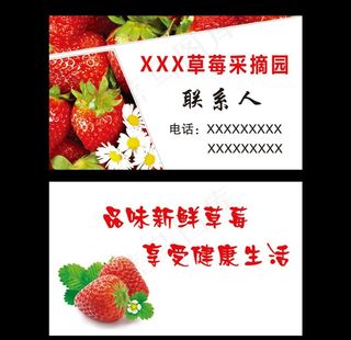 草莓采摘名片图片