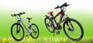 自行车 郊游图片