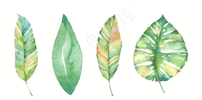 小清新美式手绘插画水彩绿植图片