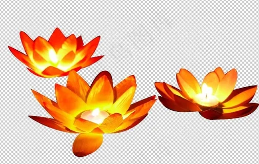 荷花灯图片 荷花灯图片