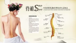 脊椎养护海报图片