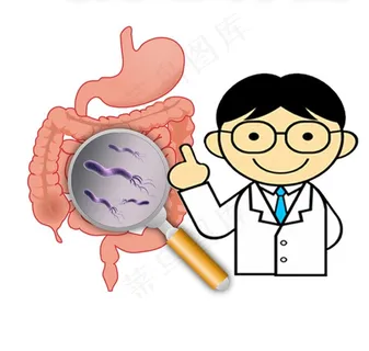 肠胃图片