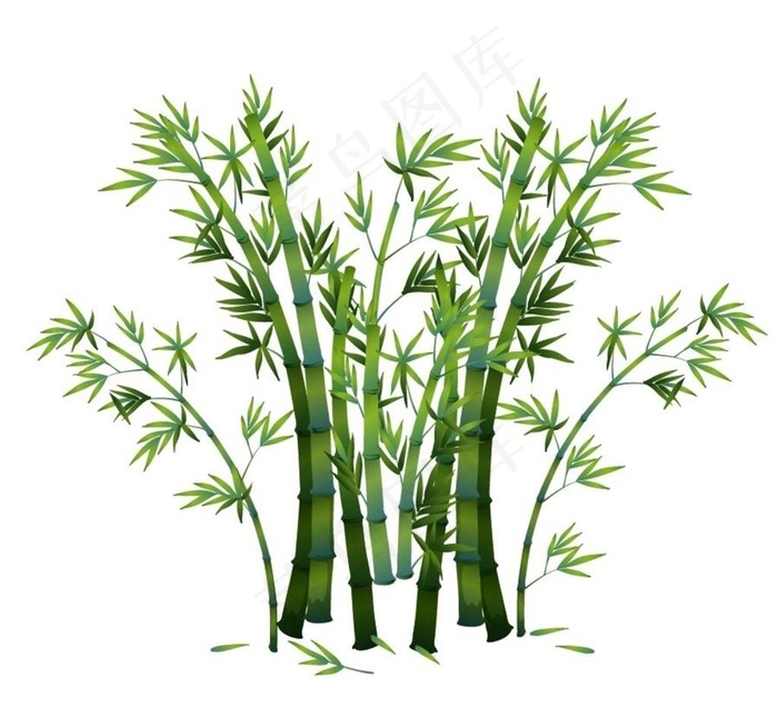 富贵竹图片ai矢量模版下载