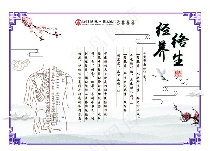 经络养生图片