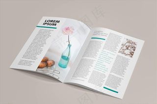 杂志样机图片