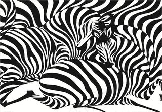 斑马纹图片