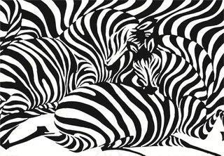 斑马纹图片
