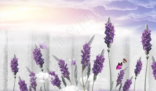 薰衣草 电视背景墙图片