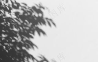树影图片