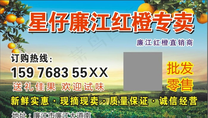 廉江红橙专卖图片cdr矢量模版下载