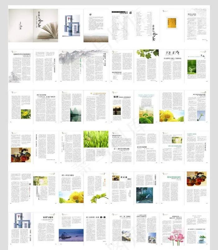 书籍排版图片(210X285)cdr矢量模版下载