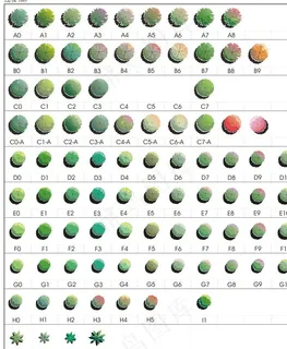 平面树集合图片