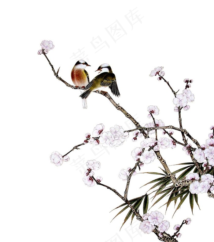 中国画花鸟图片psd模版下载