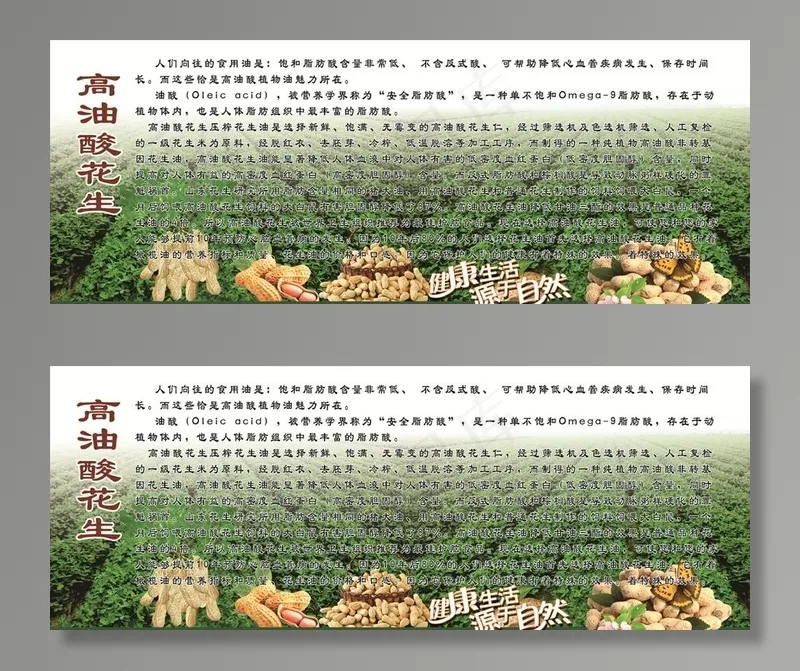 高油酸花生图片(9581X3912(DPI:72))psd模版下载
