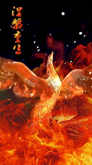 凤凰涅槃重生图片