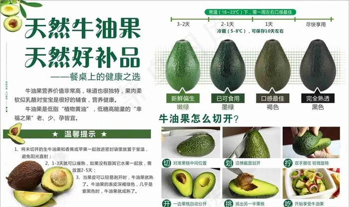 牛油果图片cdr矢量模版下载