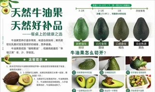 牛油果图片
