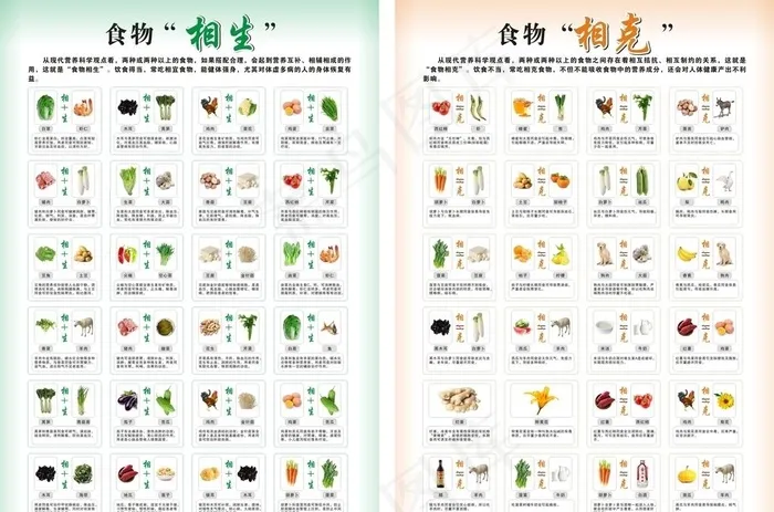 食物相生相克图片(594X841)cdr矢量模版下载