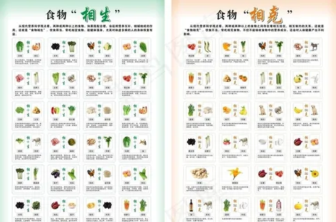 食物相生相克图片 食物相生相克图片