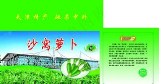 淀绿沙窝萝卜图片