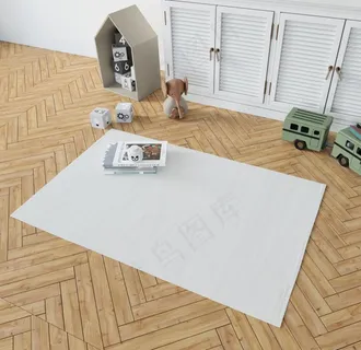 地毯样机图片 地毯样机图片