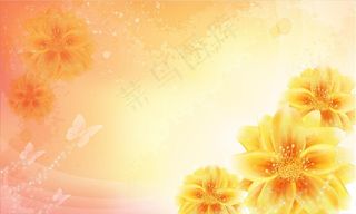 相框 贺卡 信纸图片