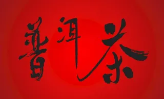 普洱茶字体图片