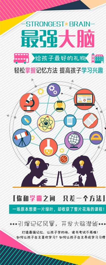 全脑开发图片