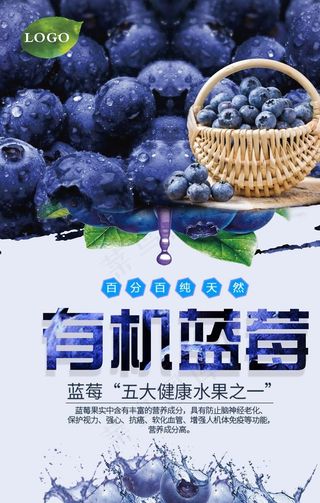 蓝莓水果海报图片