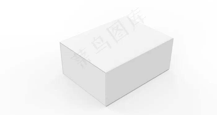 包装样机21312图片
