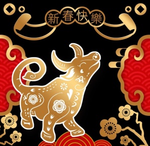 牛窗花图片