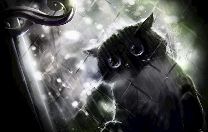 猫头鹰窗户玻璃图片