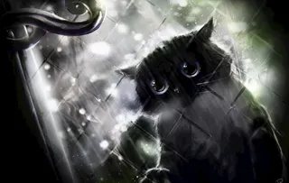 猫头鹰窗户玻璃图片