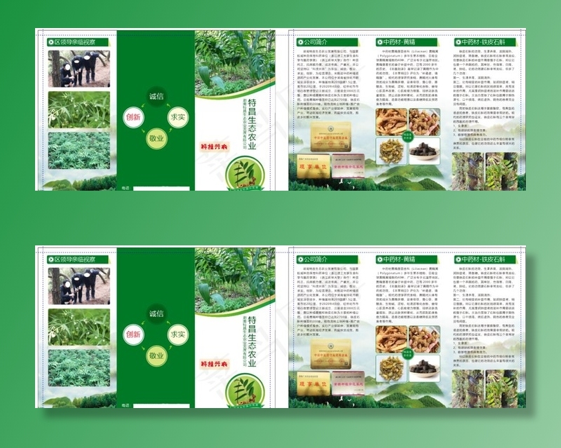 中药种植图片(650X297)cdr矢量模版下载