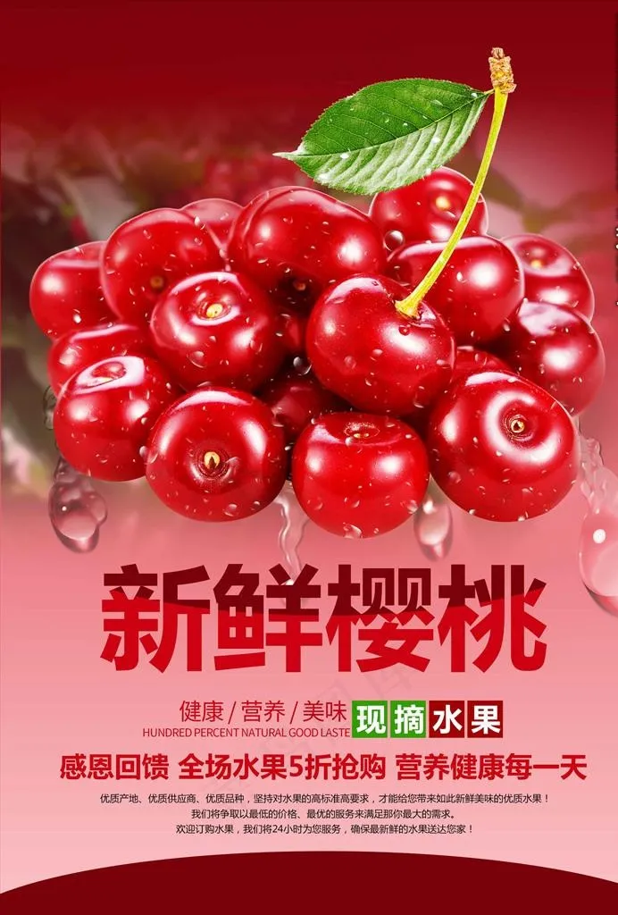 樱桃采摘 新鲜樱桃图片