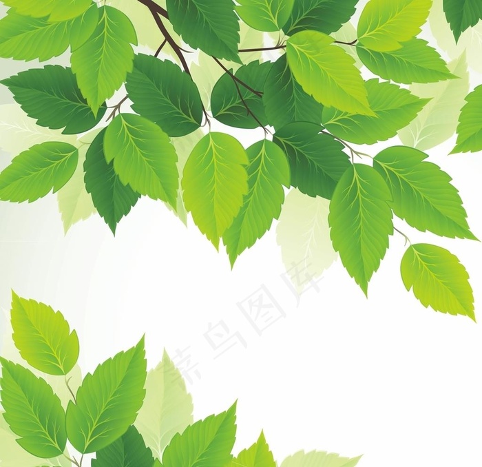 春季绿色树叶图片