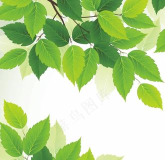 春季绿色树叶图片