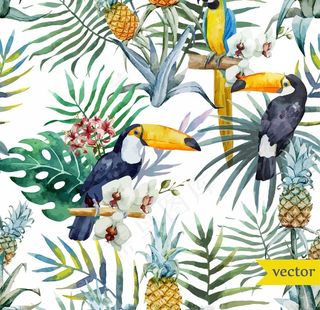 水彩热带鸟类图片