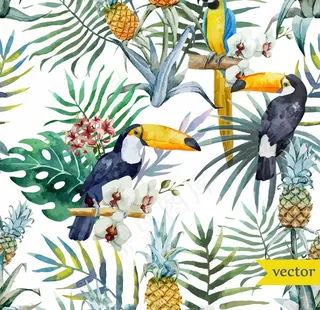 水彩热带鸟类图片