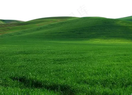 草地图片 草地图片