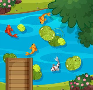 卡通锦鲤鱼图片