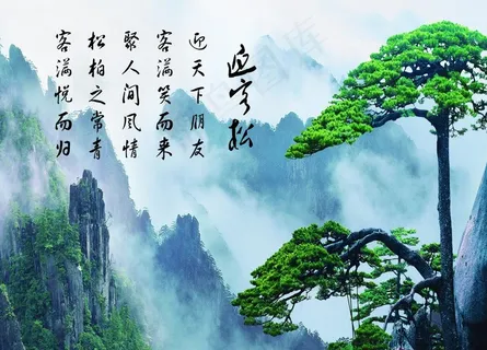 迎客松图片 迎客松图片